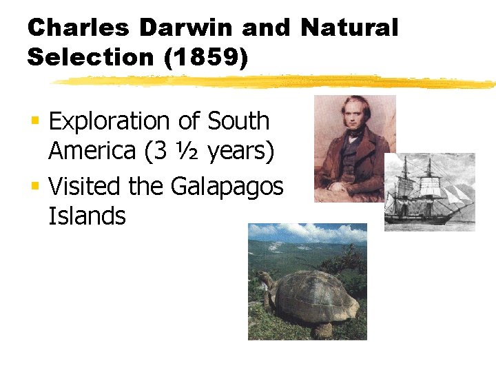 Charles Darwin and Natural Selection (1859) § Exploration of South America (3 ½ years)