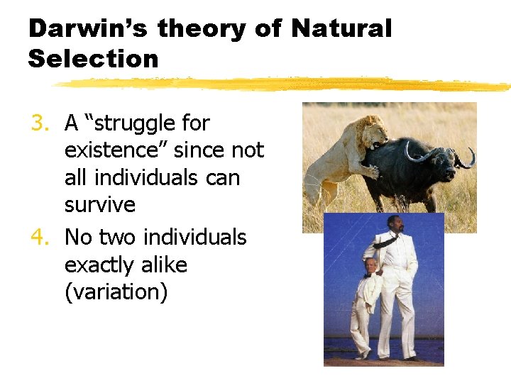 Darwin’s theory of Natural Selection 3. A “struggle for existence” since not all individuals