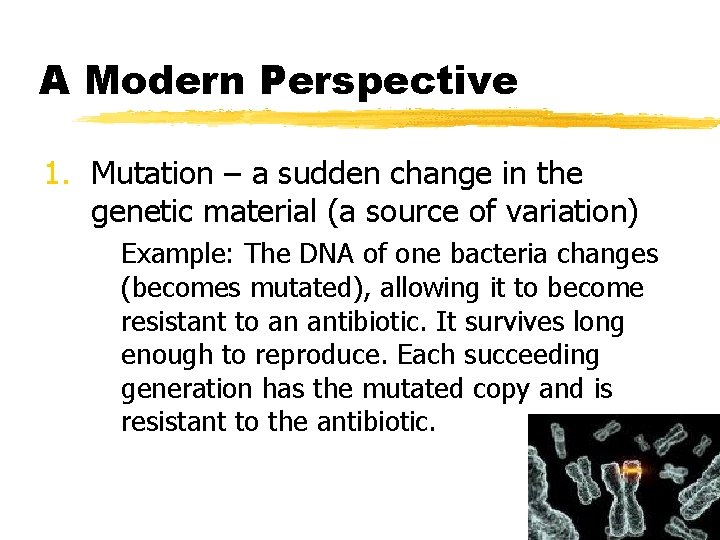 A Modern Perspective 1. Mutation – a sudden change in the genetic material (a