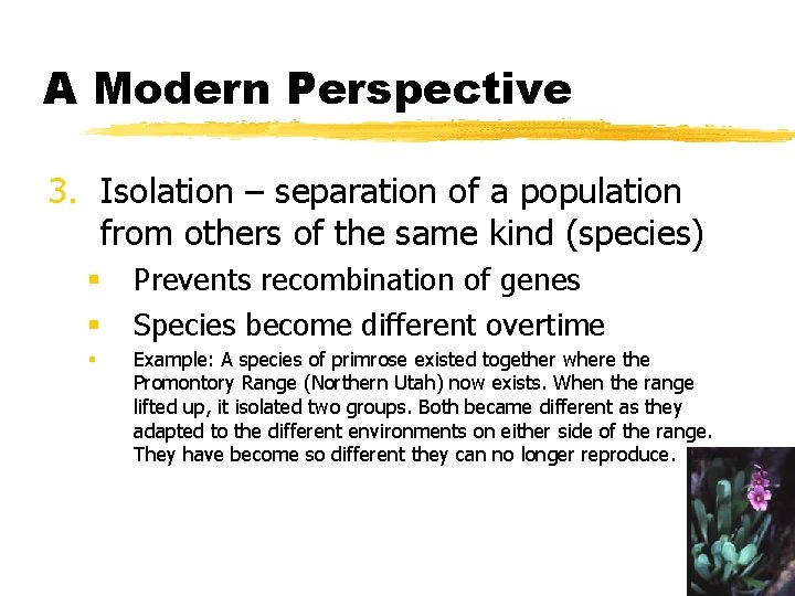 A Modern Perspective 3. Isolation – separation of a population from others of the