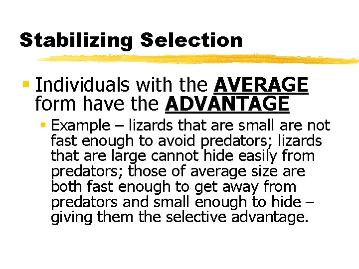 Stabilizing Selection § Individuals with the AVERAGE form have the ADVANTAGE § Example –