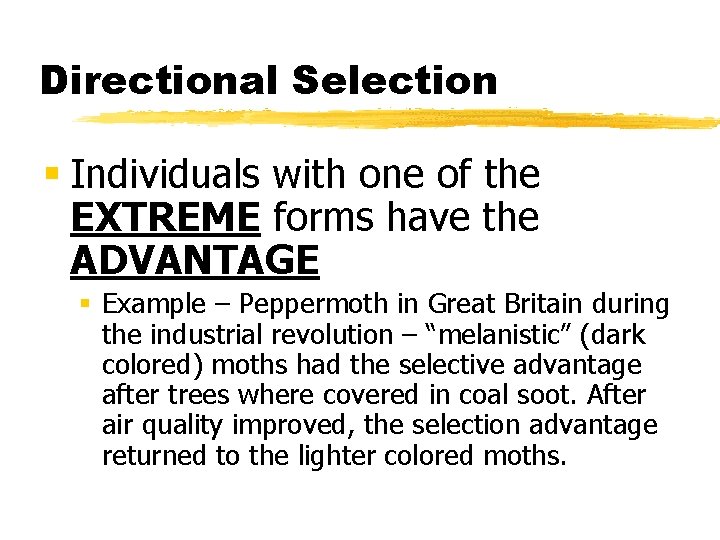 Directional Selection § Individuals with one of the EXTREME forms have the ADVANTAGE §