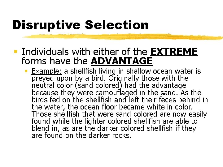 Disruptive Selection § Individuals with either of the EXTREME forms have the ADVANTAGE §