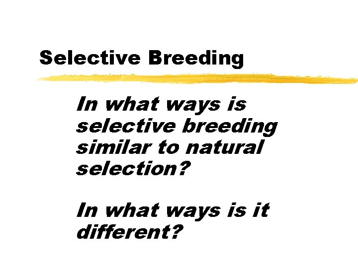 Selective Breeding In what ways is selective breeding similar to natural selection? In what