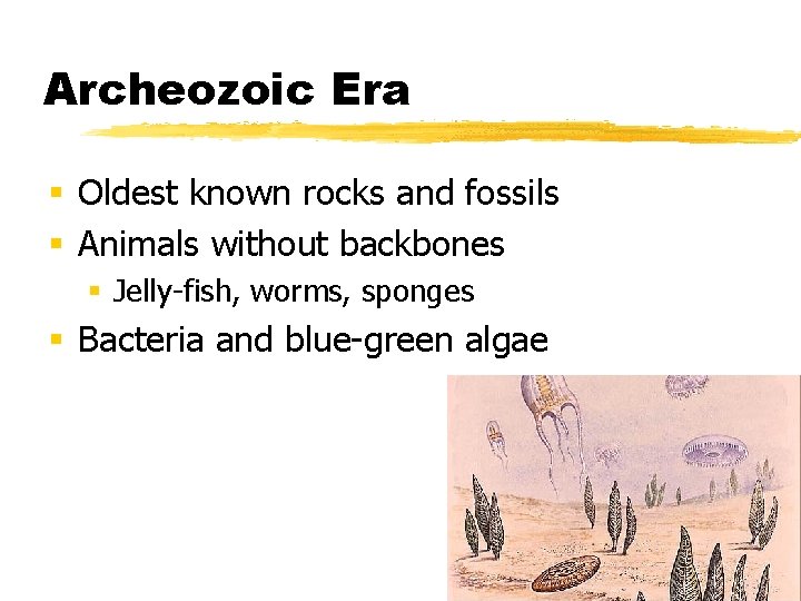 Archeozoic Era § Oldest known rocks and fossils § Animals without backbones § Jelly-fish,