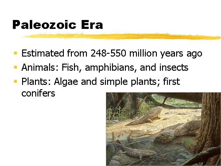 Paleozoic Era § Estimated from 248 -550 million years ago § Animals: Fish, amphibians,
