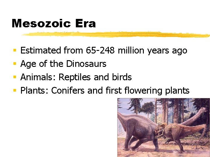 Mesozoic Era § § Estimated from 65 -248 million years ago Age of the