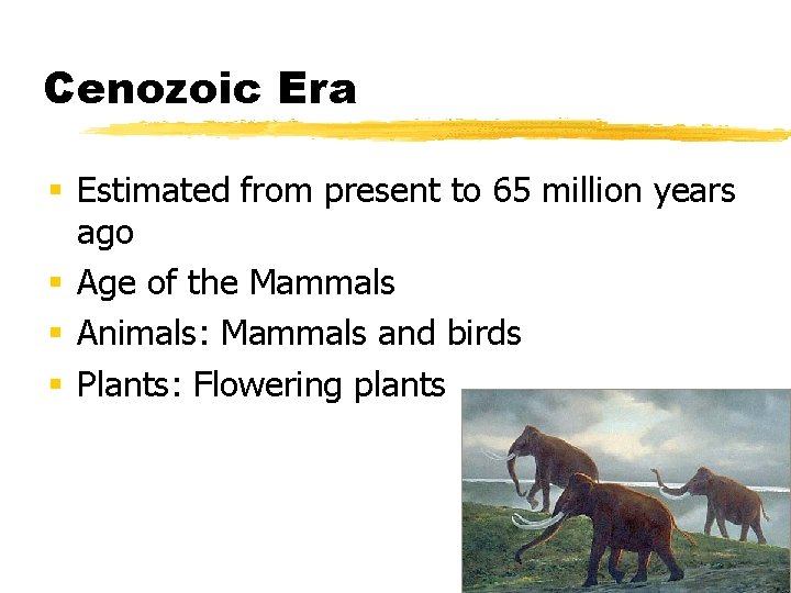 Cenozoic Era § Estimated from present to 65 million years ago § Age of
