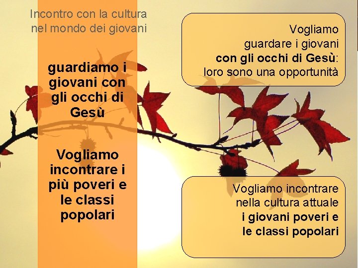 Incontro con la cultura nel mondo dei giovani guardiamo i giovani con gli occhi