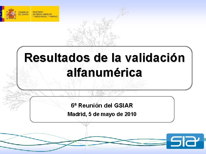 Resultados de la validación alfanumérica 6ª Reunión del GSIAR Madrid, 5 de mayo de