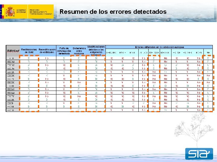 Resumen de los errores detectados 