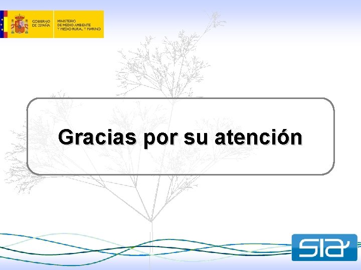 Gracias por su atención 