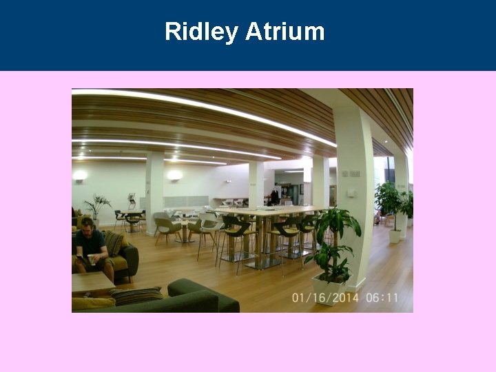 Ridley Atrium Ridley Atrium