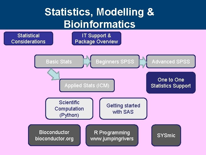 Statistics, Modelling & Bioinformatics IT Support & Package Overview Statistical Considerations Basic Stats Beginners Statistics, Modelling & Bioinformatics IT Support & Package Overview Statistical Considerations Basic Stats Beginners