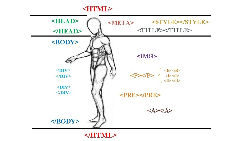 <HTML> <HEAD> <META> </HEAD> <STYLE></STYLE> <TITLE></TITLE> <BODY> <IMG> <DIV> </DIV> <P></P> <DIV> </DIV> <B></B>