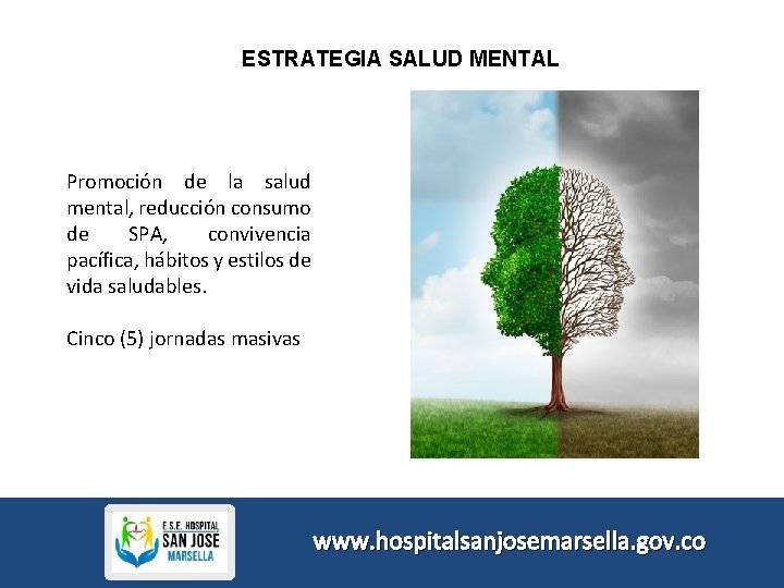 ESTRATEGIA SALUD MENTAL Promoción de la salud mental, reducción consumo de SPA, convivencia pacífica,