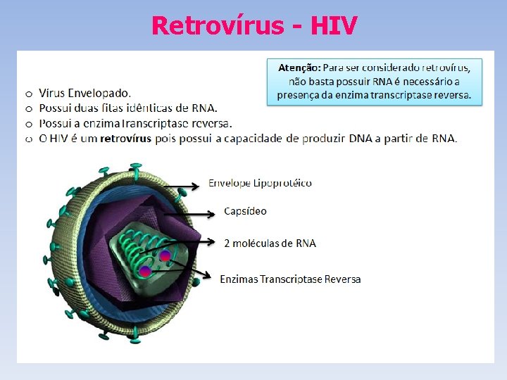 Retrovírus - HIV Retrovírus - HIV