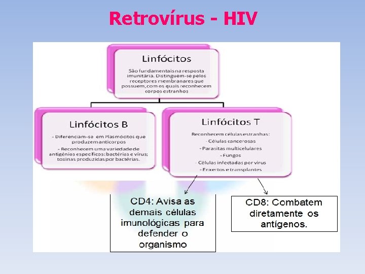 Retrovírus - HIV Retrovírus - HIV
