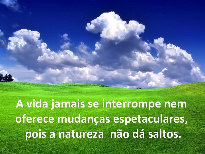 A vida jamais se interrompe nem oferece mudanças espetaculares, pois a natureza não dá