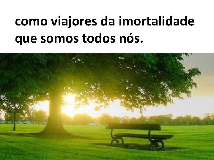 como viajores da imortalidade que somos todos nós. 