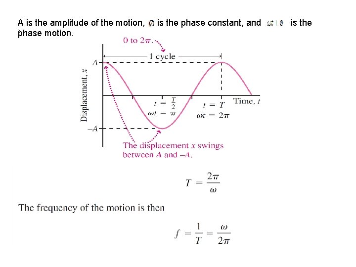 A is the amplitude of the motion, phase motion. ` is the phase constant,