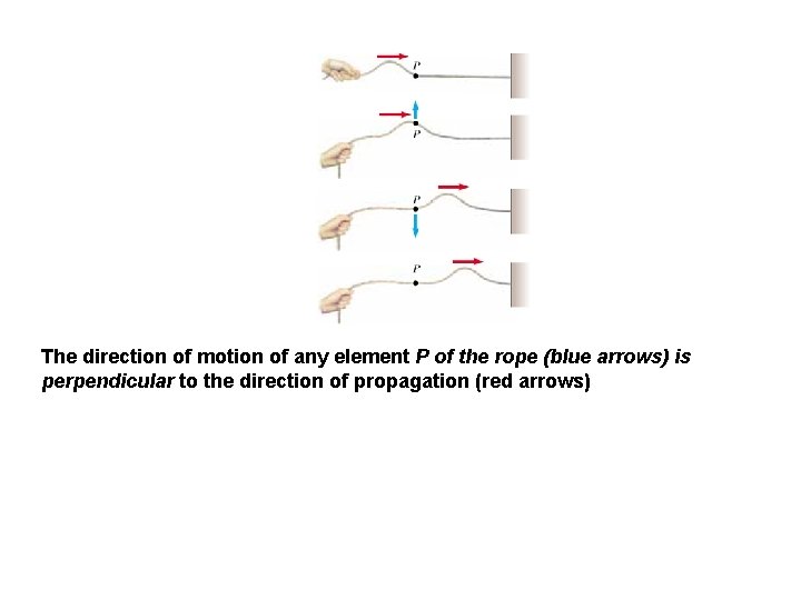 The direction of motion of any element P of the rope (blue arrows) is