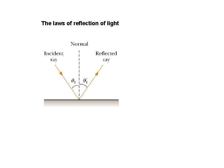 The laws of reflection of light 