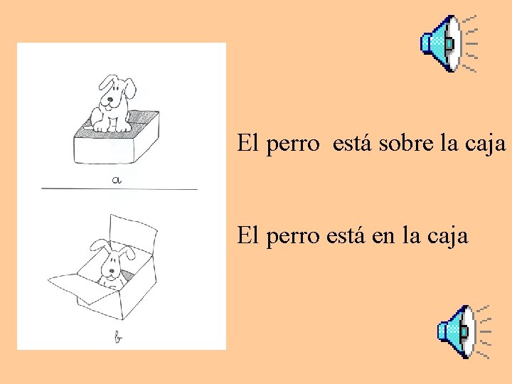 El perro está sobre la caja El perro está en la caja 