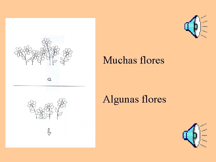 Muchas flores Algunas flores 