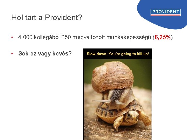 Hol tart a Provident? • 4. 000 kollégából 250 megváltozott munkaképességű (6, 25%) • Hol tart a Provident? • 4. 000 kollégából 250 megváltozott munkaképességű (6, 25%) •