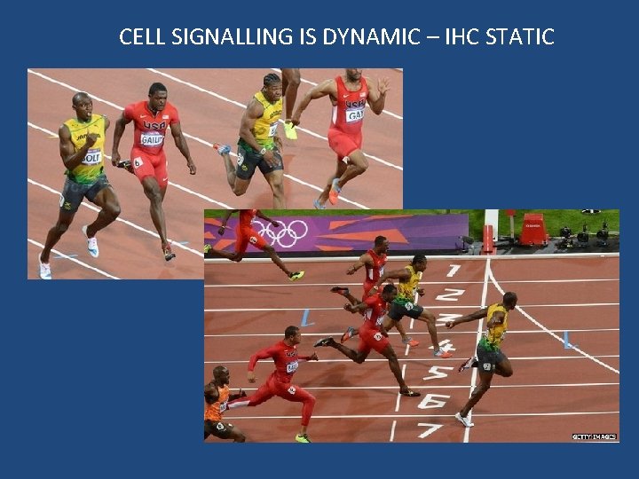 CELL SIGNALLING IS DYNAMIC – IHC STATIC 