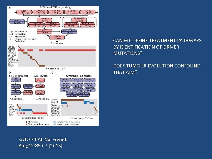 CAN WE DEFINE TREATMENT PATHWAYS BY IDENTIFICATION OF DRIVER MUTATIONS? DOES TUMOUR EVOLUTION CONFOUND