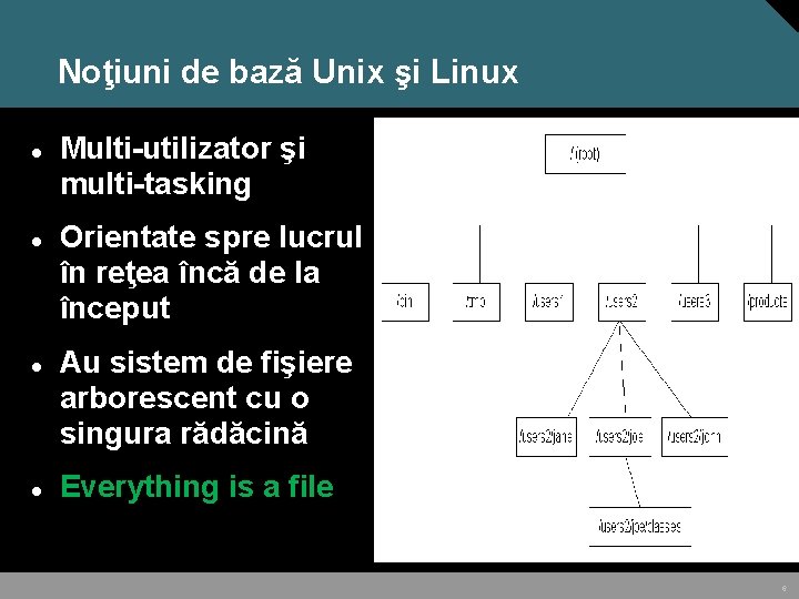 Noţiuni de bază Unix şi Linux Multi-utilizator şi multi-tasking Orientate spre lucrul în reţea