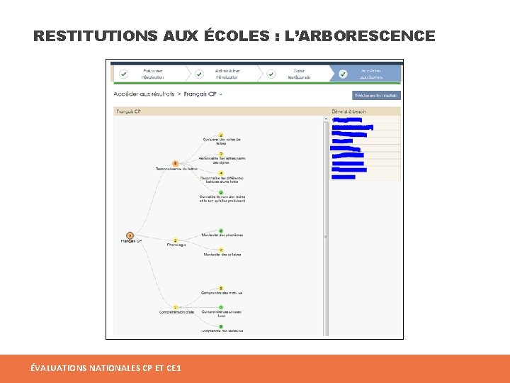 RESTITUTIONS AUX ÉCOLES : L’ARBORESCENCE ÉVALUATIONS NATIONALES CP ET CE 1 