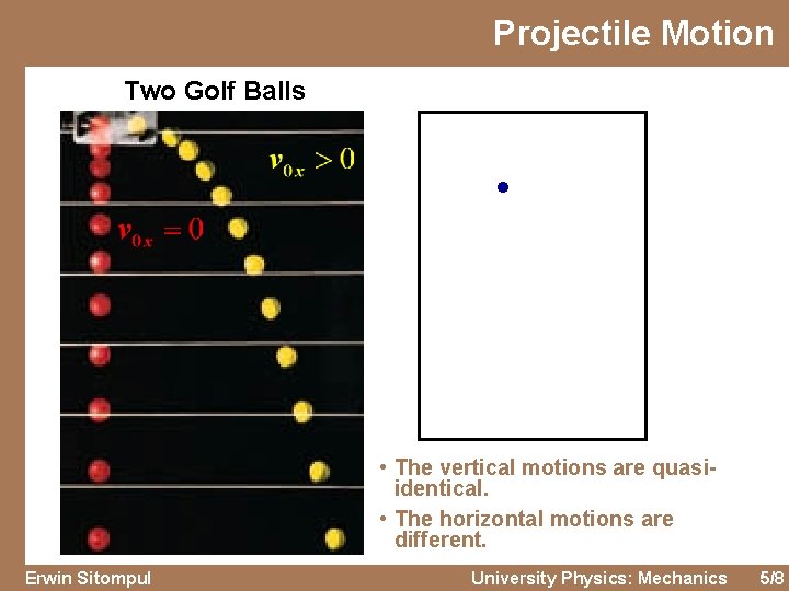 Projectile Motion Two Golf Balls • The vertical motions are quasiidentical. • The horizontal