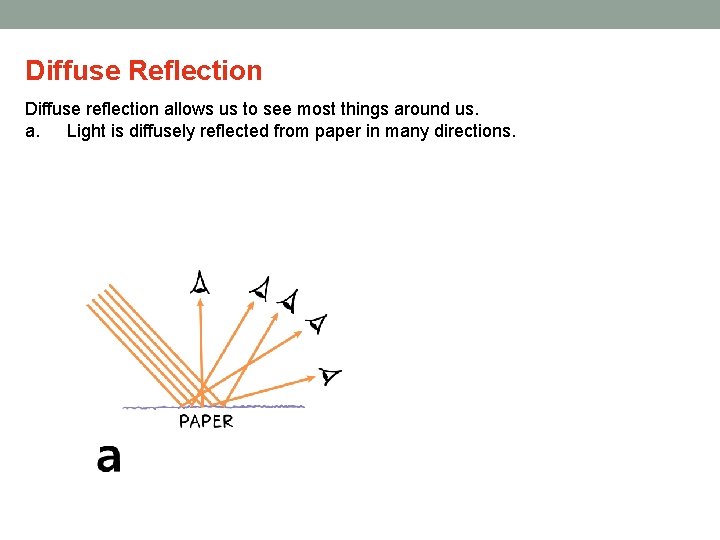 Diffuse Reflection Diffuse reflection allows us to see most things around us. a. Light