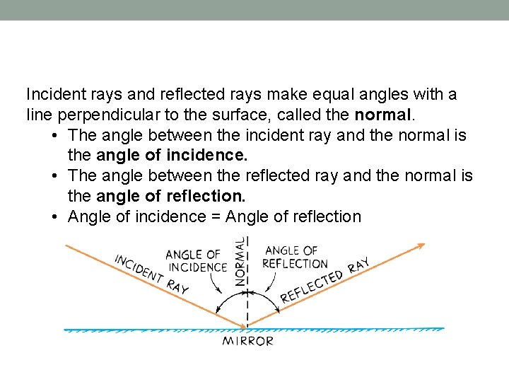 Incident rays and reflected rays make equal angles with a line perpendicular to the