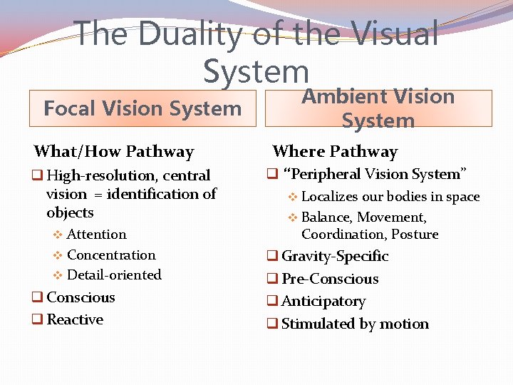 The Duality of the Visual System Focal Vision System What/How Pathway q High-resolution, central