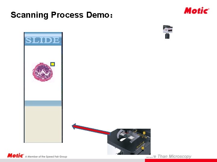 Scanning Process Demo： Scanning 