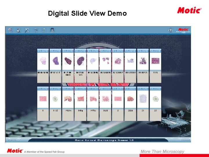 Digital Slide View Demo 