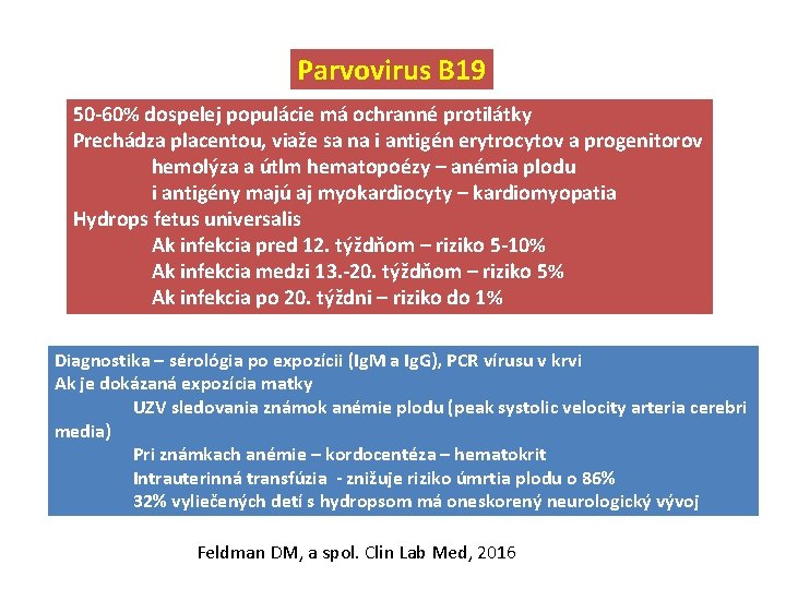 Parvovirus B 19 50 -60% dospelej populácie má ochranné protilátky Prechádza placentou, viaže sa