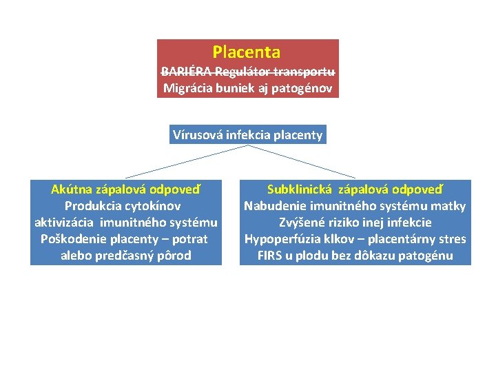 Placenta BARIÉRA Regulátor transportu Migrácia buniek aj patogénov Vírusová infekcia placenty Akútna zápalová odpoveď