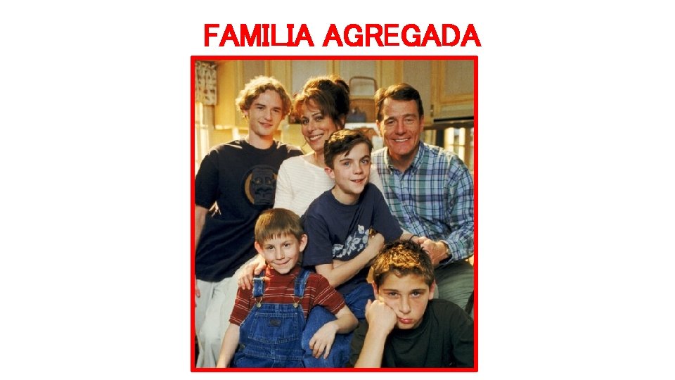 FAMILIA AGREGADA 