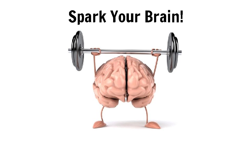 Spark Your Brain! 