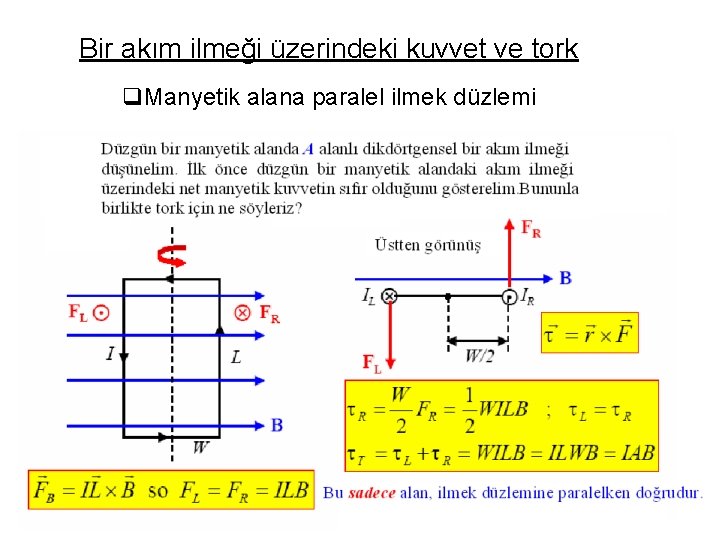 Bir akım ilmeği üzerindeki kuvvet ve tork q. Manyetik alana paralel ilmek düzlemi 