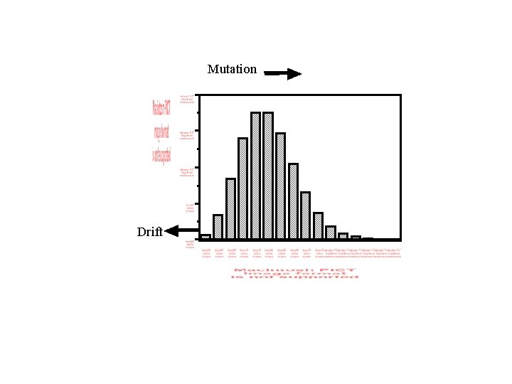 SOME PATTERNS OF MOLECULAR EVOLUTION AND VARIATION 1