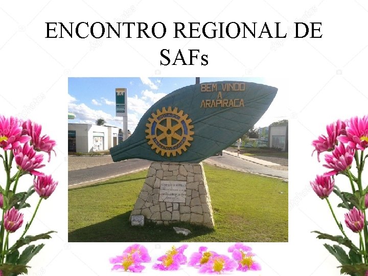 ENCONTRO REGIONAL DE SAFs 