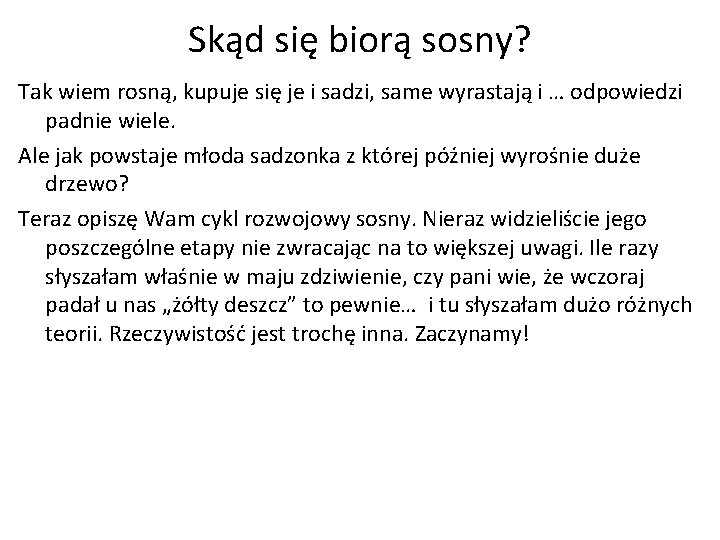 Skąd się biorą sosny? Tak wiem rosną, kupuje się je i sadzi, same wyrastają