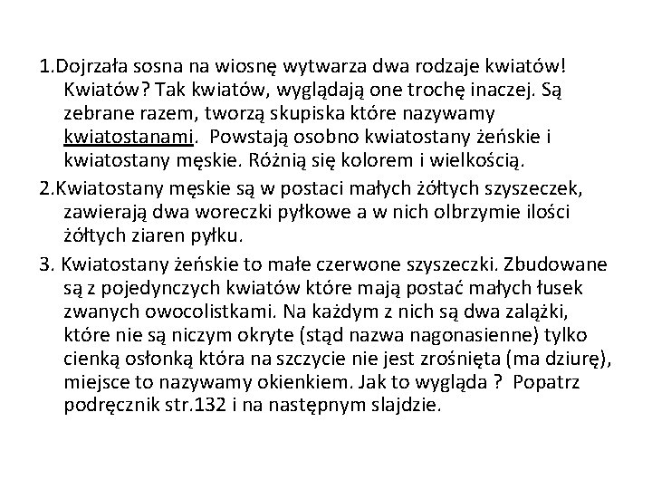 1. Dojrzała sosna na wiosnę wytwarza dwa rodzaje kwiatów! Kwiatów? Tak kwiatów, wyglądają one