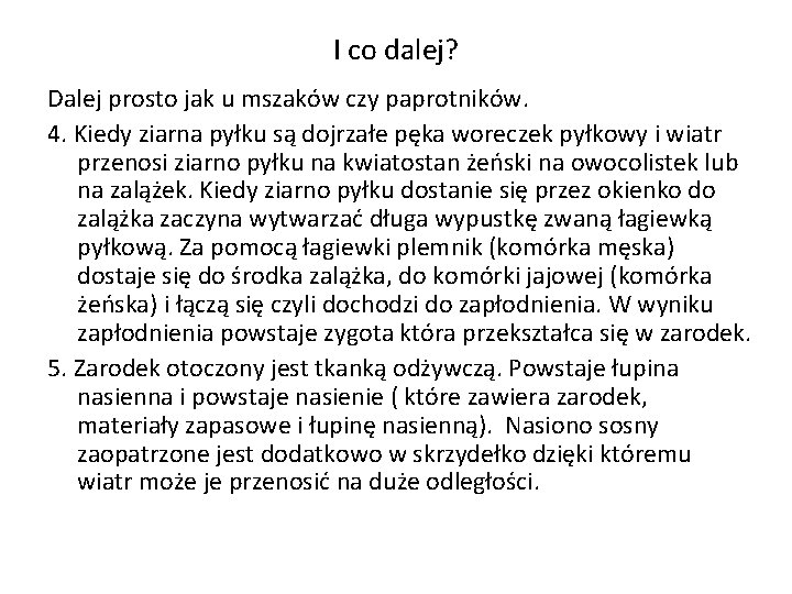 I co dalej? Dalej prosto jak u mszaków czy paprotników. 4. Kiedy ziarna pyłku